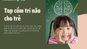 Top 5 loại cốm trí não tốt nhất cho trẻ hiện nay